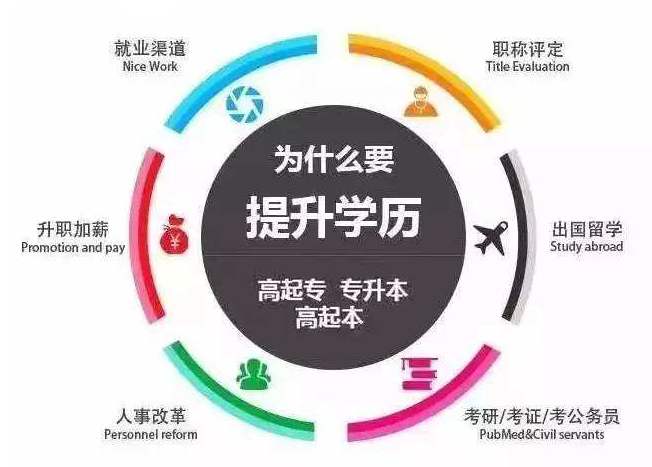 成都在哪里可以报川大成教呢？有什么专业？